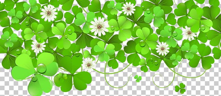 Clover Wall PNG, Clipart, Clover, Clover Border, Clover Leaf, Clovers, Clover Vector Free PNG Download