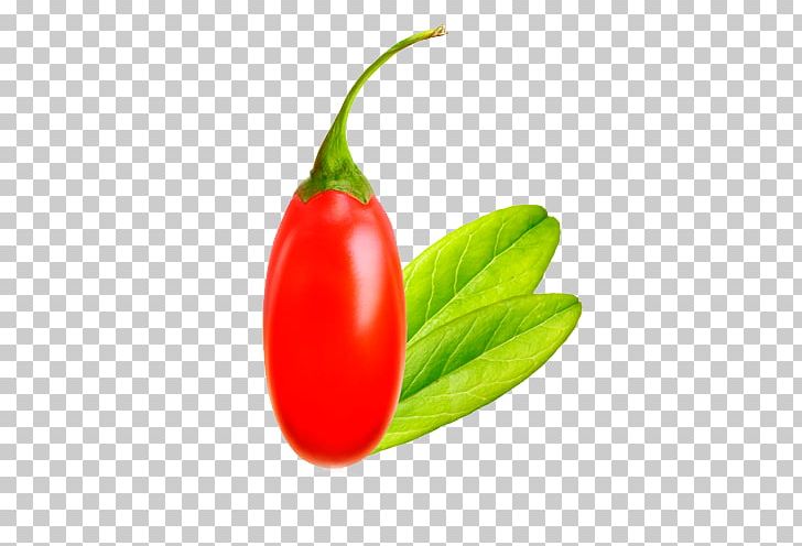Habanero Tomato Jalapeño Goji Berry PNG, Clipart,  Free PNG Download