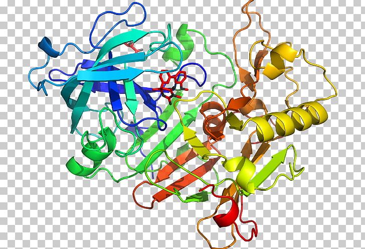 Nicotinamide N-methyltransferase Catalysis Phenylethanolamine N-methyltransferase PNG, Clipart, Area, Art, Artwork, Biphenyl, Catalysis Free PNG Download