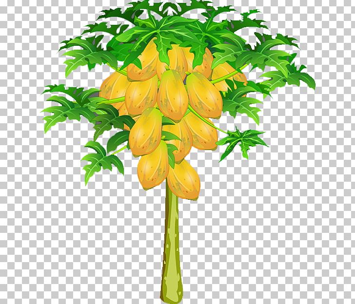 Papaya Fruit Nut PNG, Clipart, Branch, Cantaloupe, Cartoon Papaya, Cashew, Decoration Free PNG Download