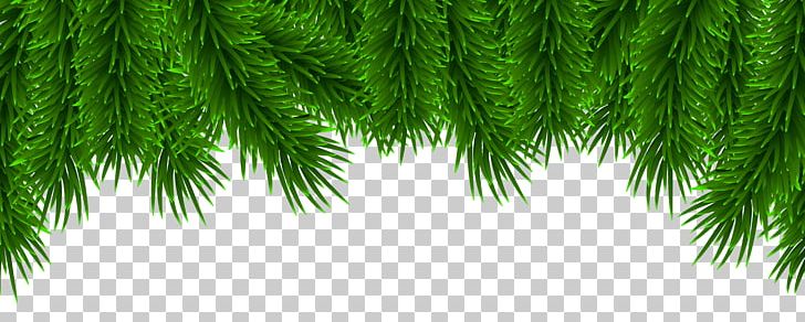 Christmas Pine PNG, Clipart, Art Christmas, Border, Branch, Christmas, Christmas Clipart Free PNG Download