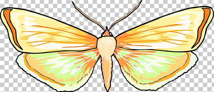 Monarch Butterfly Insect Nymphalidae Moth PNG, Clipart, Animal, Animals, Arthropod, Artwork, Bombycidae Free PNG Download