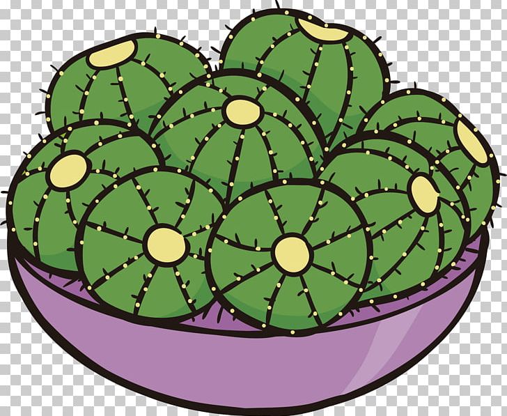 Plant PNG, Clipart, Barbed, Cactus Cartoon, Cactus Flower, Cactus Vector, Cactus Watercolor Free PNG Download