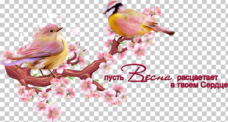 Cherry Blossom Branch PNG, Clipart, Computer Wallpaper, Creative Background, Encapsulated Postscript, Fathers Day, Flower Free PNG Download