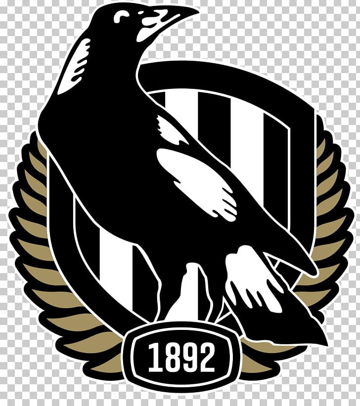Collingwood Football Club Australian Football League Melbourne Cricket Ground Melbourne Football Club Western Bulldogs PNG, Clipart,  Free PNG Download