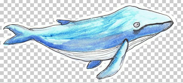 Common Bottlenose Dolphin Rough-toothed Dolphin Tucuxi Animal Alphabet Adventures Cetaceans PNG, Clipart, Animal, Animal Figure, Artwork, Bottlenose Dolphin, Common Bottlenose Dolphin Free PNG Download
