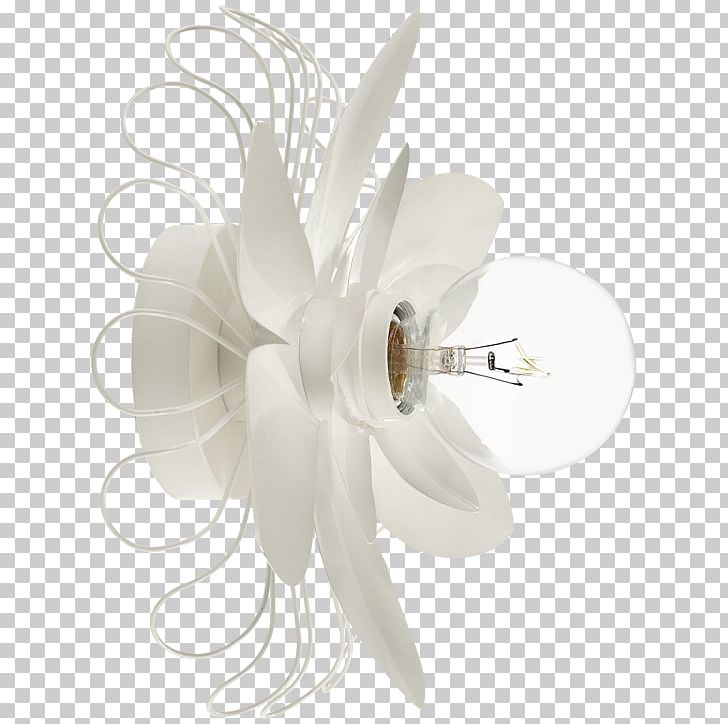 Lighting Sconce Cream PNG, Clipart, Cream, Flower, Kansas, Kate Spade, Kate Spade New York Free PNG Download