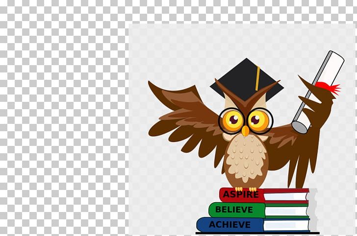 Owl Bird Beak Boy With Book PNG, Clipart, Animals, Basketball, Beak, Bird, Bird Of Prey Free PNG Download