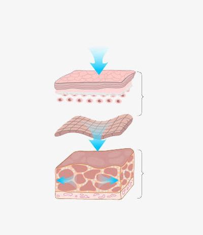 Skin Tissue PNG, Clipart, Arrow, Beauty, Blue, Blue Arrow, Layer Free PNG Download