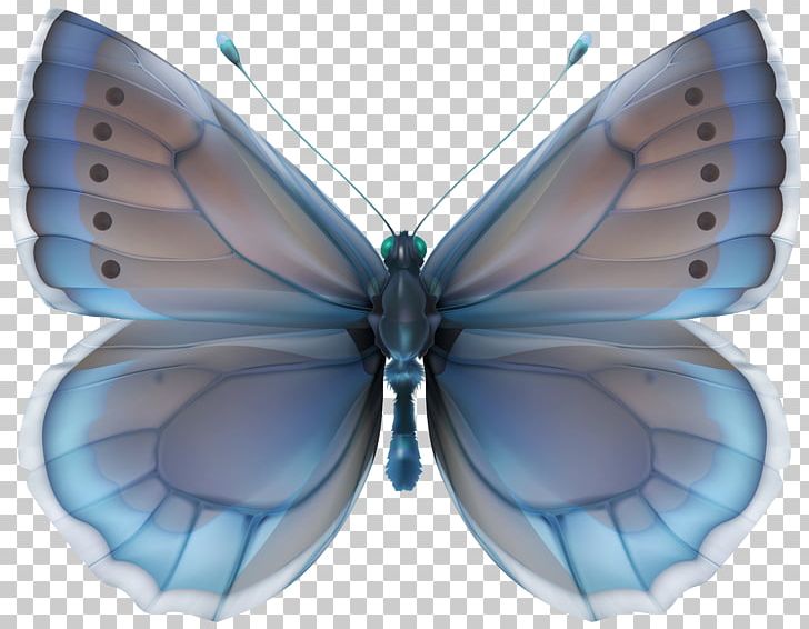 Butterfly Desktop PNG, Clipart, Art, Arthropod, Blue, Brush Footed Butterfly, Butterflies And Moths Free PNG Download