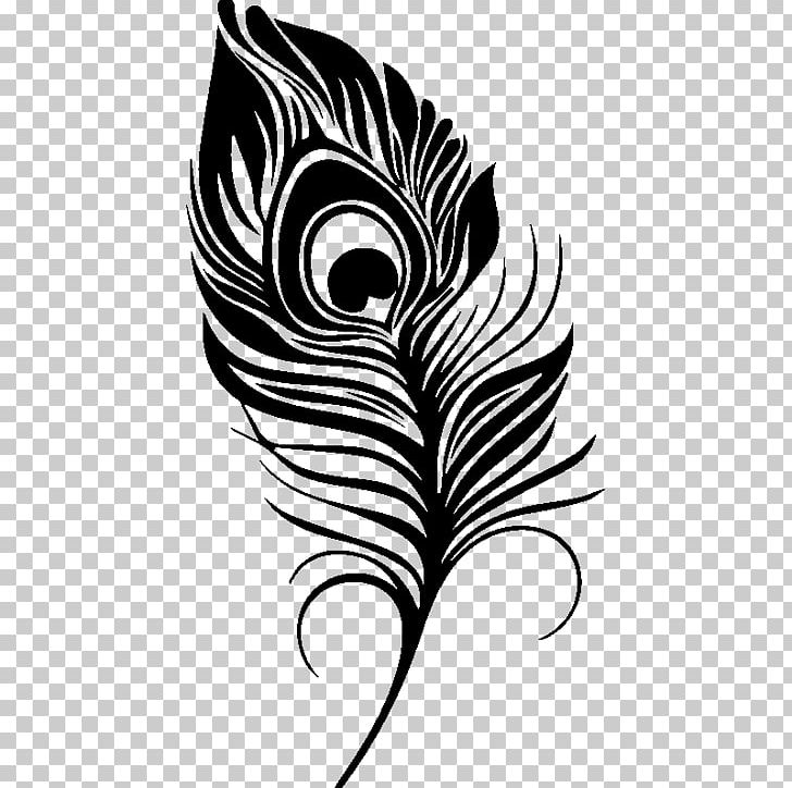 Feather Pavo Drawing PNG, Clipart, Animals, Bird, Black And White, Color, Drawing Free PNG Download