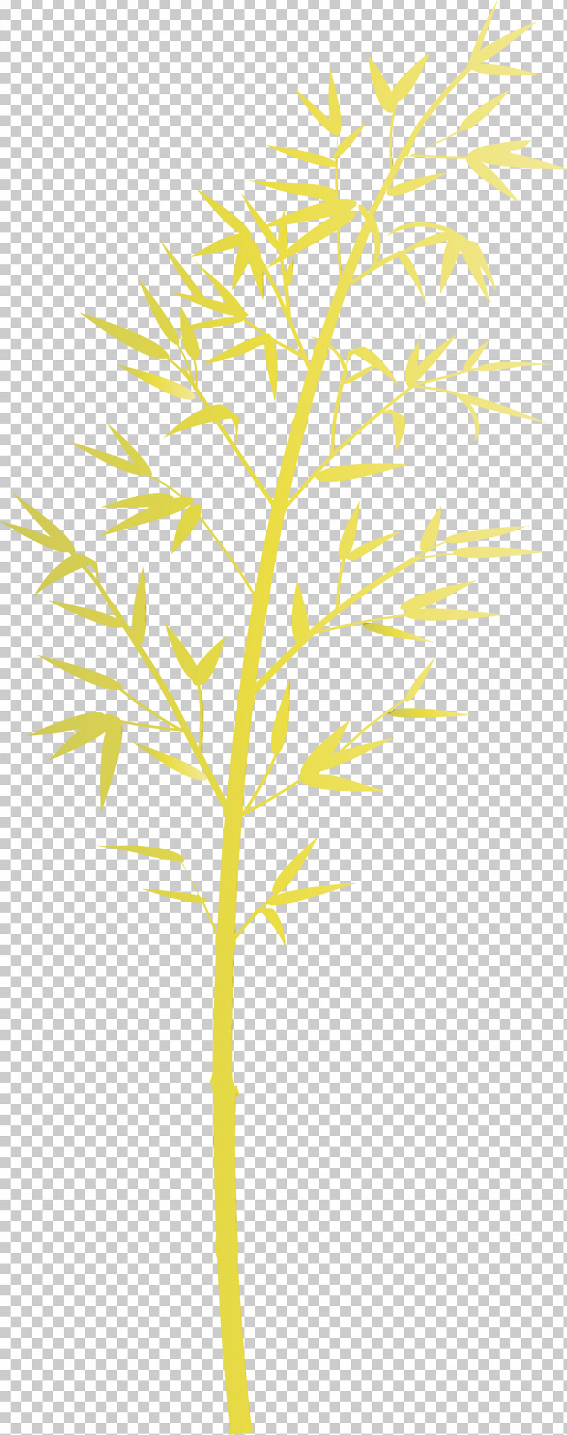 Leaf Plant Yellow Plant Stem Tree PNG, Clipart, Bamboo, Branch, Flower, Leaf, Paint Free PNG Download