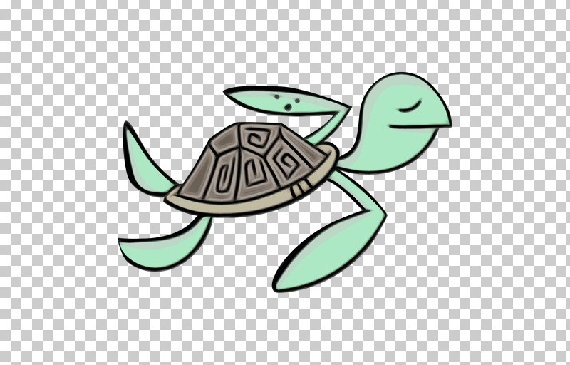 Sea Turtles Tortoise Turtles Meter Sea PNG, Clipart, Biology, Meter, Paint, Science, Sea Free PNG Download