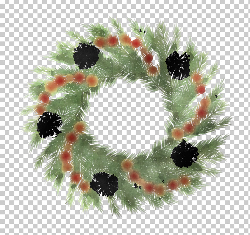 Christmas Decoration PNG, Clipart, Branch, Christmas Decoration, Christmas Tree, Colorado Spruce, Conifer Free PNG Download
