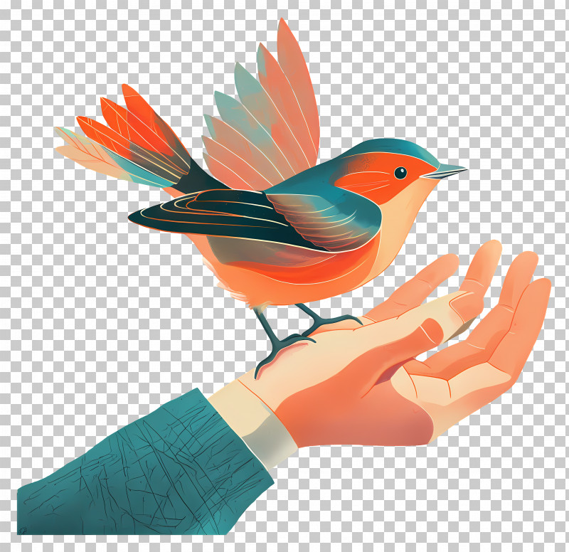 Hands - Bird Perched On Hand PNG