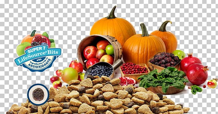 Dog Food Cat Food Eating PNG, Clipart, Carnivore, Cat, Cat Food, Cereal, Chicken As Food Free PNG Download