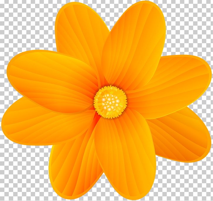 Orange Blossom Flower PNG, Clipart, Blue, Clipart, Clip Art, Color, Dahlia Free PNG Download