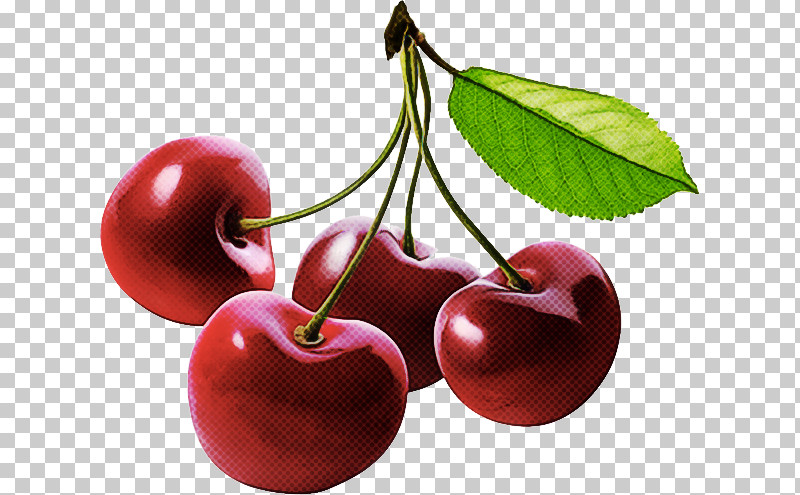 Cherry Fruit Plant European Plum Food PNG, Clipart, Cherry, European Plum, Food, Fruit, Leaf Free PNG Download