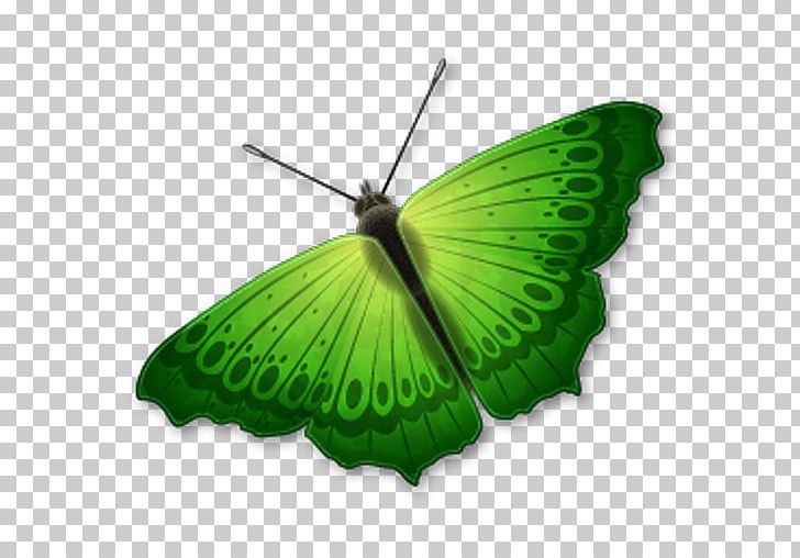 Butterfly Computer Icons Icon Design PNG, Clipart, Brush Footed Butterfly, Butterfly, Butterfly Clipart, Computer Icons, Download Free PNG Download