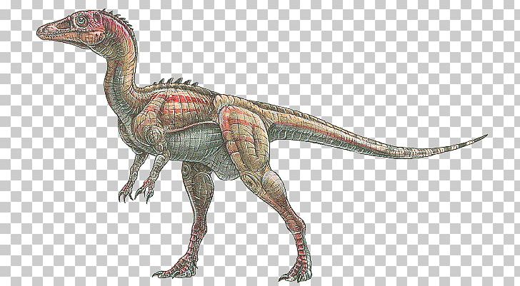 Eoraptor Lunensis Velociraptor Dinosaur Tyrannosaurus Alamosaurus PNG, Clipart, Alamosaurus, Animal, Buitreraptor, Clan Macleod, Digit Free PNG Download