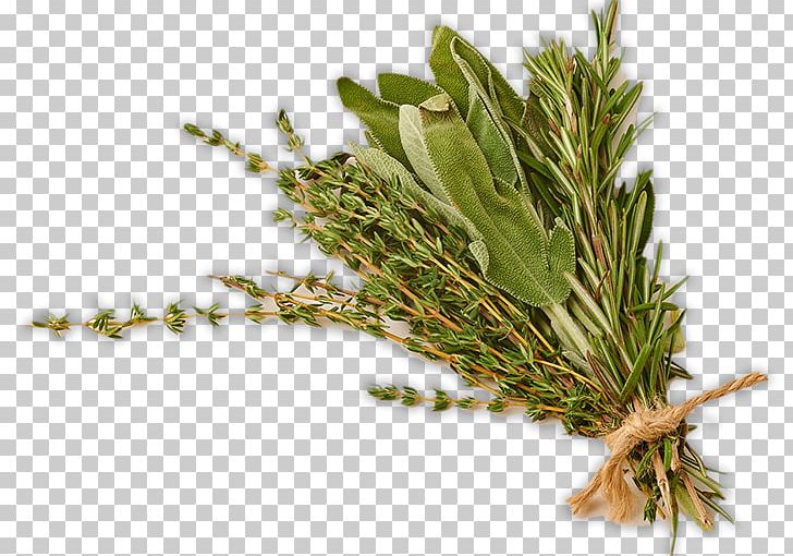 Herb Food Drying Basil Vegetable PNG, Clipart, Basil, Butternut Squash, Common Sage, Cooking, Cucurbita Free PNG Download