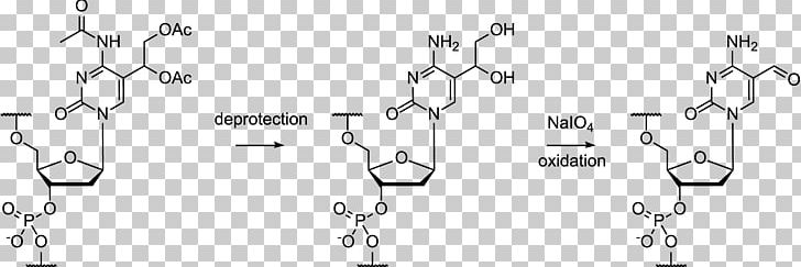 Oligonucleotide Synthesis Protecting Group Cytosine Periodate PNG, Clipart, Ammonia Solution, Angle, Auto Part, Base, Black And White Free PNG Download