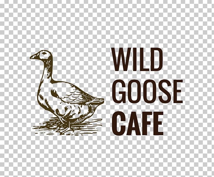 Wild Goose PNG, Clipart,  Free PNG Download