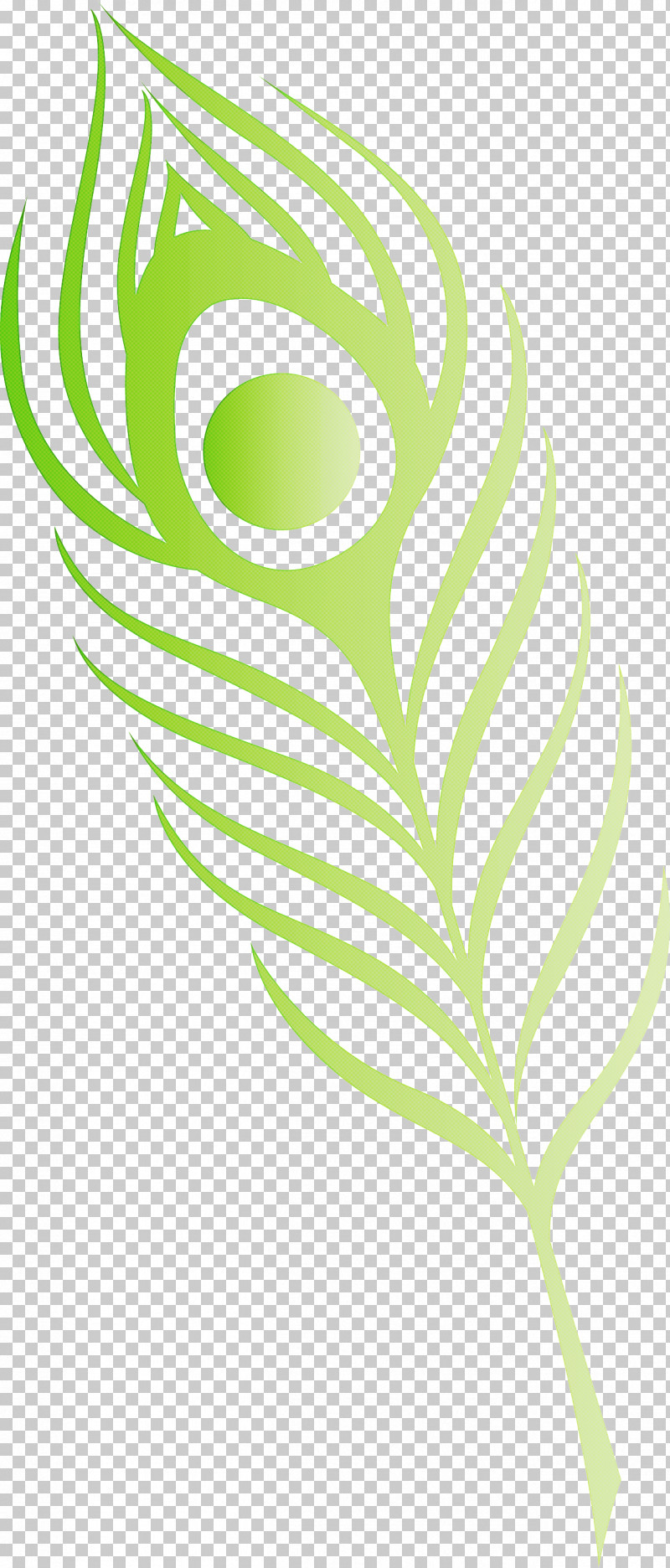 Feather PNG, Clipart, Abstract Art, Cartoon, Drawing, Feather, Line Art Free PNG Download