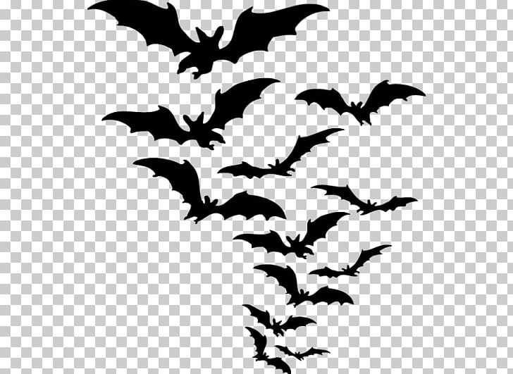 Bat Desktop PNG, Clipart, Animals, Artwork, Bat, Bat Clipart, Beak Free PNG Download