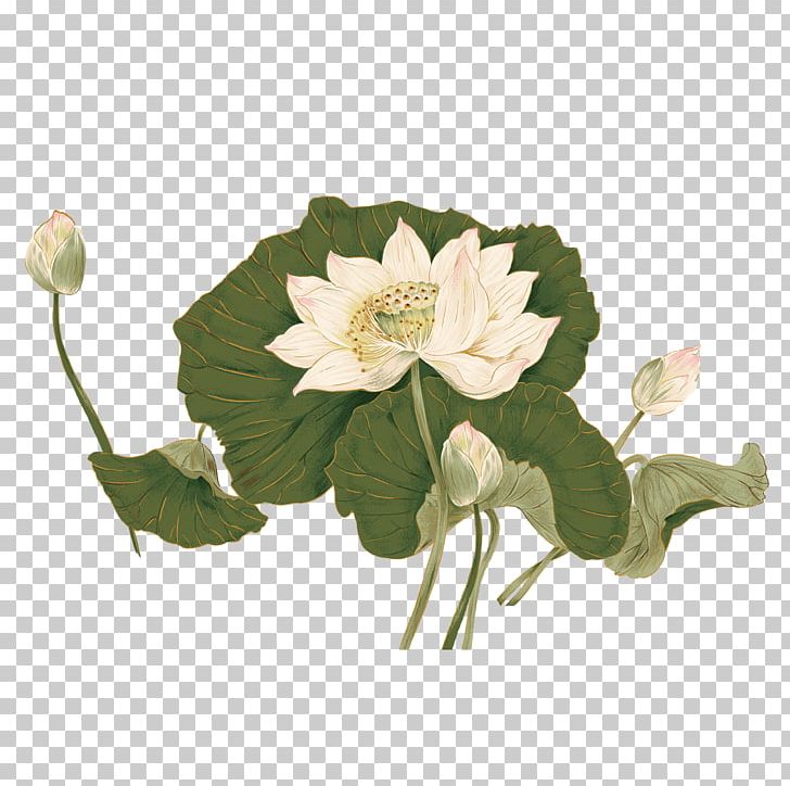 Painting Nelumbo Nucifera Poster PNG, Clipart, Annual Plant, Artificial Flower, Encapsulated Postscript, Flower, Flowers Free PNG Download