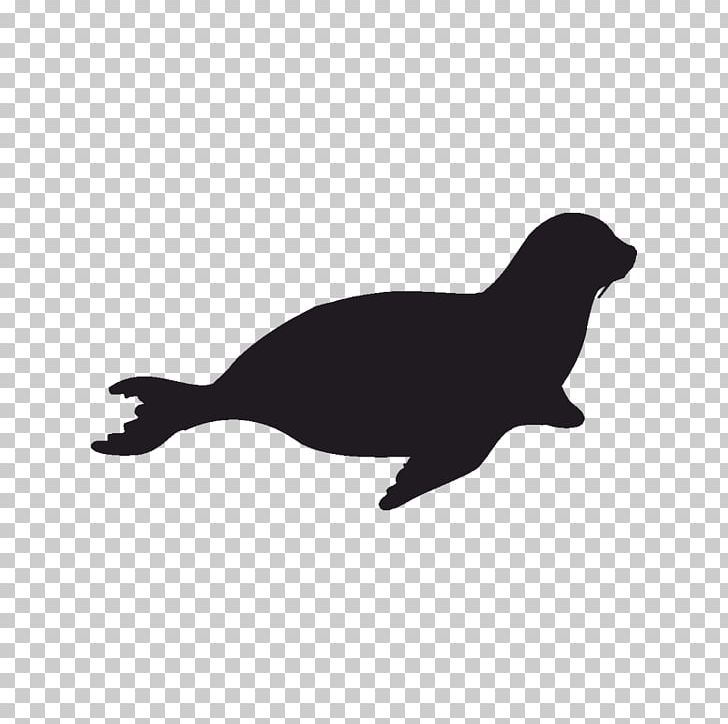 Silhouette Drawing Free Stencil PNG, Clipart, Animals, Art, Beak, Bird, Black Free PNG Download