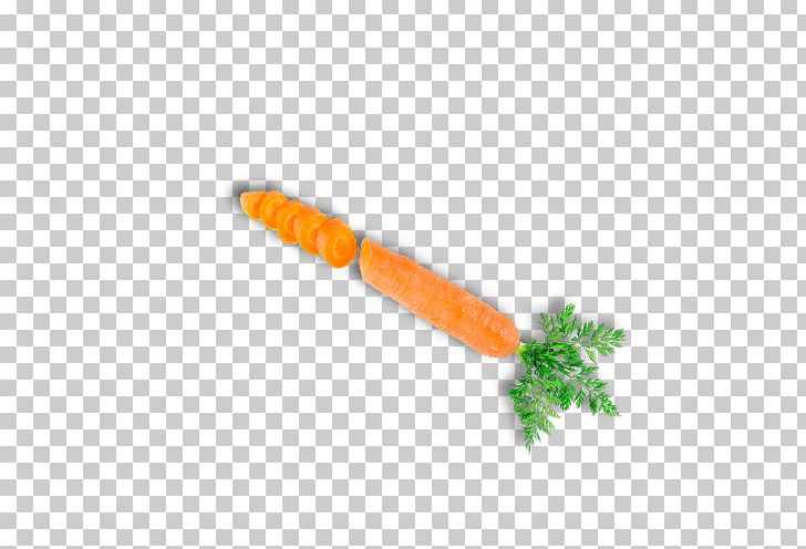 Carrot Hong Kong Vegetable Food PNG, Clipart, Adobe Illustrator, Brindle White, Bunch Of Carrots, Carrot, Carrot Cartoon Free PNG Download