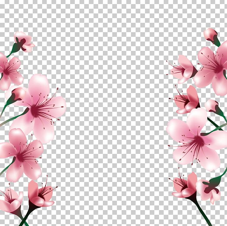 National Cherry Blossom Festival Paper PNG, Clipart, Blossoms, Branch, Cherry, Cherry Tree, Cherry Vector Free PNG Download