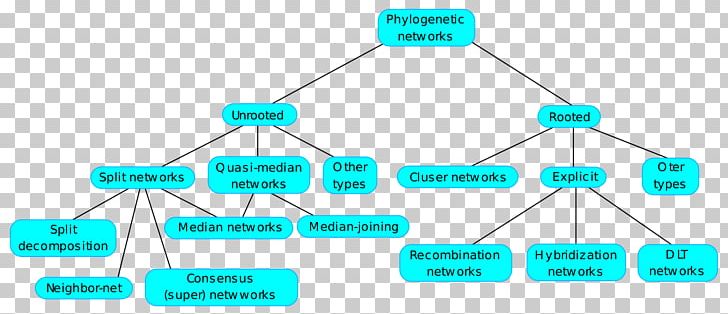 Phylogenetic Network Phylogenetic Tree Phylogenetics Split Neighbor-net PNG, Clipart, Computer Network, Diagram, Evolution, Genetic, Genetics Free PNG Download