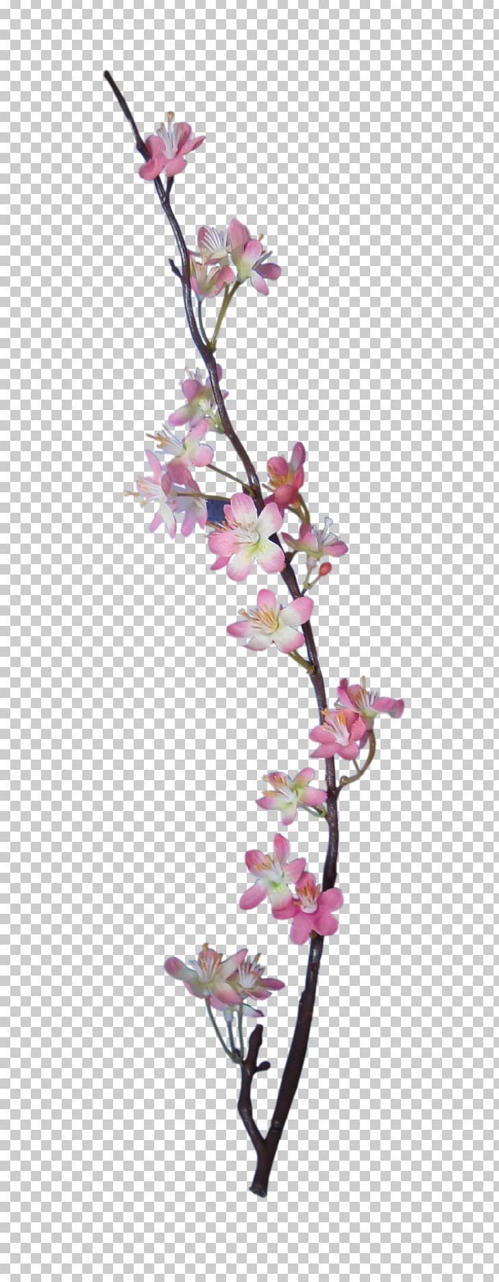 Embellishment Flower Digital Scrapbooking Apple PNG, Clipart, Apple, Apple Blossom, Blossom, Branch, Cherry Blossom Free PNG Download