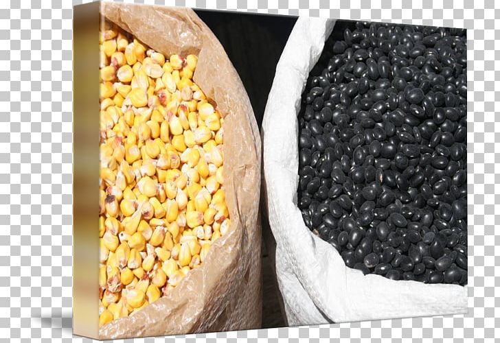 Maize Common Bean Photography Gunny Sack Portrait PNG, Clipart, Black, Black Beans, Chart, Commodity, Common Bean Free PNG Download