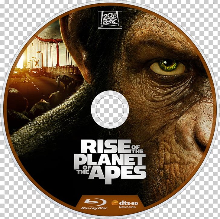 Planet Of The Apes Film Poster Subtitle PNG, Clipart, Dawn Of The Planet Of The Apes, Dvd, Film, Film Poster, Others Free PNG Download