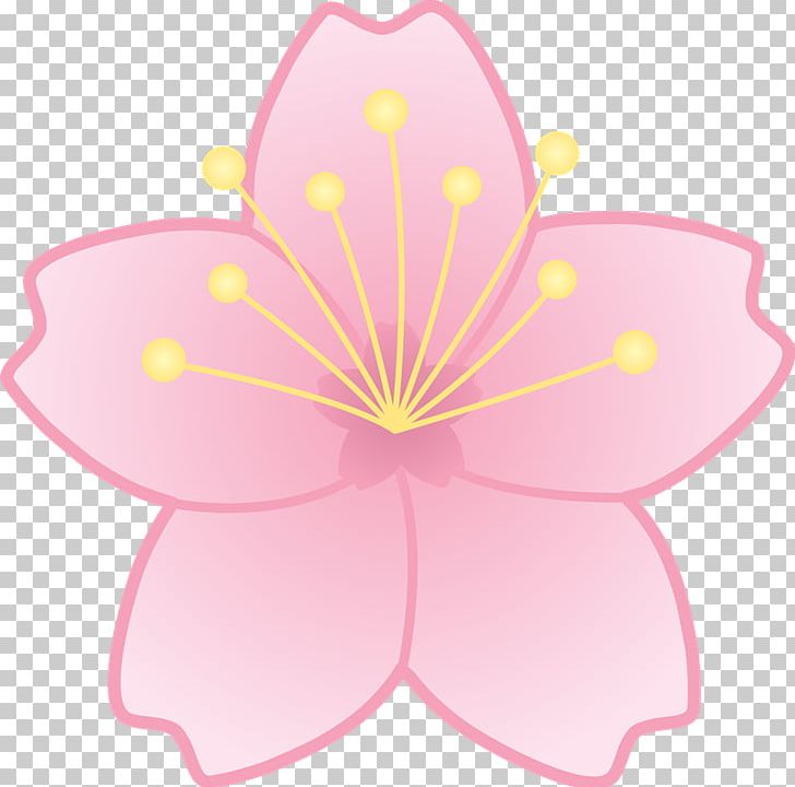 Cherry Blossom Flower PNG, Clipart, Blossom, Cartoon, Cherry, Cherry Blossom, Clip Art Free PNG Download