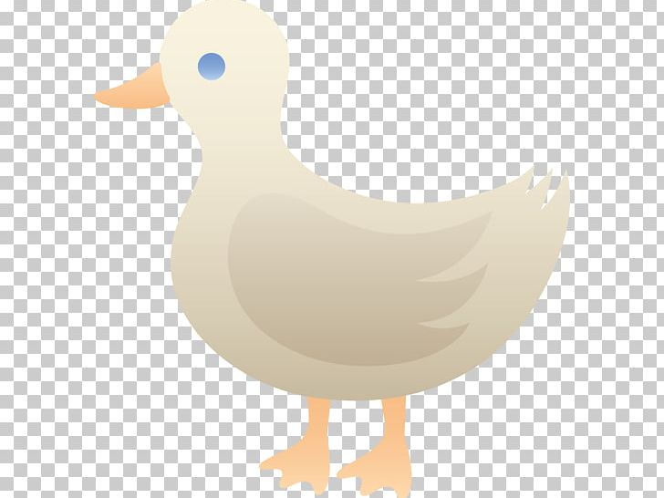 Duck Mallard Bird Goose PNG, Clipart, American Pekin, Anatidae, Animal, Animals, Beak Free PNG Download