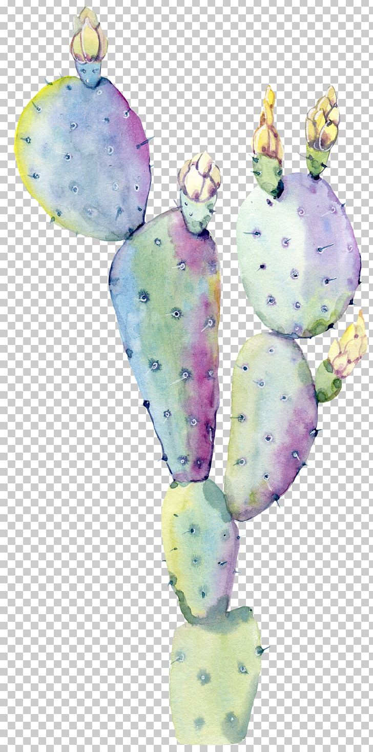 Cactaceae Watercolor: Flowers Watercolor Painting Saguaro PNG, Clipart, Botany, Cactus, Color, Color Splash, Drawing Free PNG Download