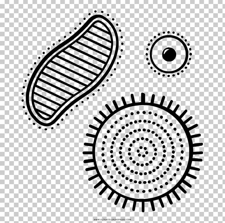 Flag Of Kazakhstan Flags Of The World Flag Of Kyrgyzstan PNG, Clipart, Bacterias, Black And White, Circle, Flag, Flag Of Albania Free PNG Download