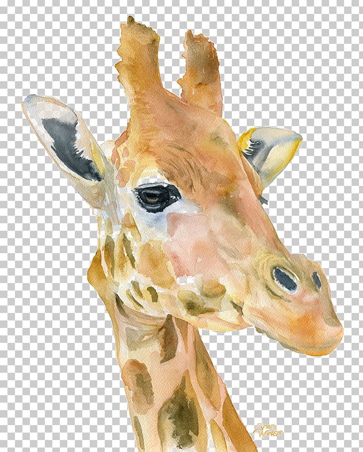 Giraffe Watercolor Painting Printmaking Art PNG, Clipart, African, Animal, Animal Print, Animals, Cartoon Giraffe Free PNG Download