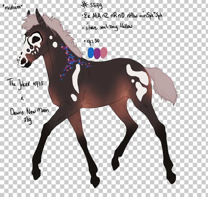 Mustang Pony Stallion Foal Colt PNG, Clipart, Bridle, Colt, Digital Art, Drawing, Equestrian Free PNG Download