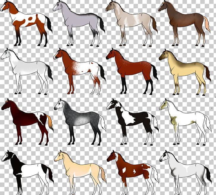 Newfoundland Dog Greater Swiss Mountain Dog Dalmatian Dog Horse Pomeranian PNG, Clipart, Animals, Bridle, Colt, Dalmatian Dog, Dog Free PNG Download