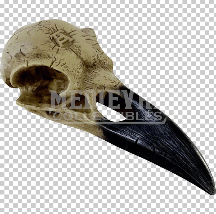 The Raven Skull Common Raven Alchemy Crane PNG, Clipart, Alchemy, Bird, Bone, Common Raven, Crane Free PNG Download