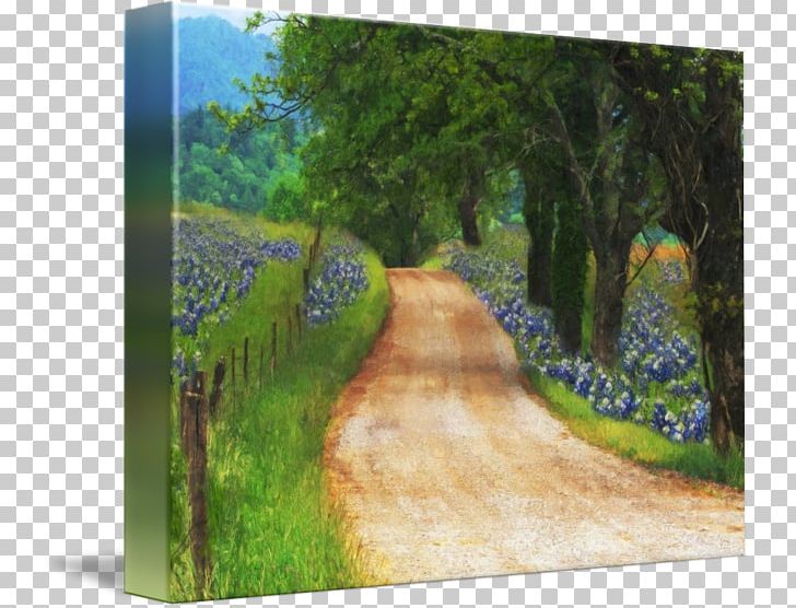 Watercolor Painting Gallery Wrap Canvas Nature Story PNG, Clipart, Art, Bluebonnets, Canvas, Ecosystem, Field Free PNG Download