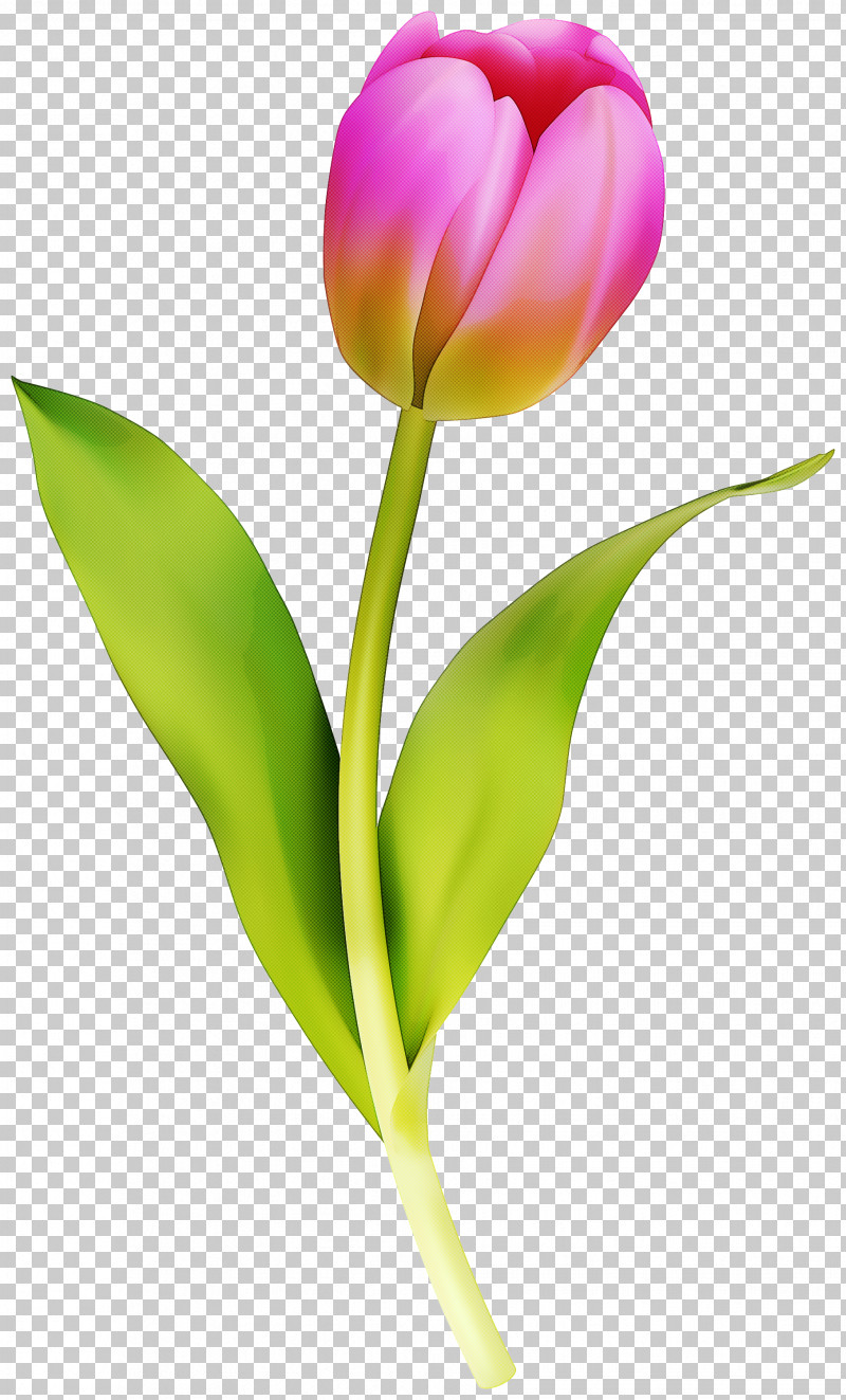 Artificial Flower PNG, Clipart, Artificial Flower, Bud, Cut Flowers, Flower, Lily Family Free PNG Download