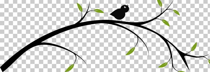 Branch Tree PNG, Clipart, Area, Branch, Branches Cliparts, Circle, Drawing Free PNG Download