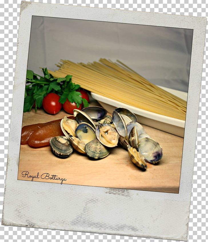 Clam Mussel Oyster Still Life Frames PNG, Clipart, Clam, Clams Oysters Mussels And Scallops, Food, Mussel, Others Free PNG Download