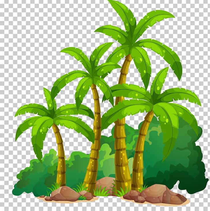 Coconut PNG, Clipart, Adobe Illustrator, Arecaceae, Beach, Cartoon, Coco Free PNG Download